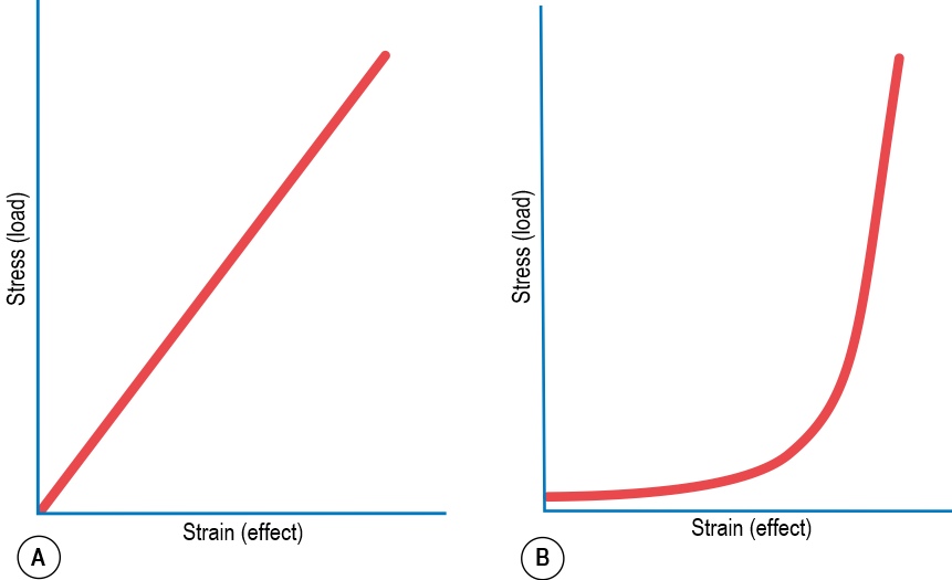 Strain versus Stress